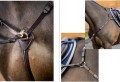 LeMieux Breastplate & Martingale